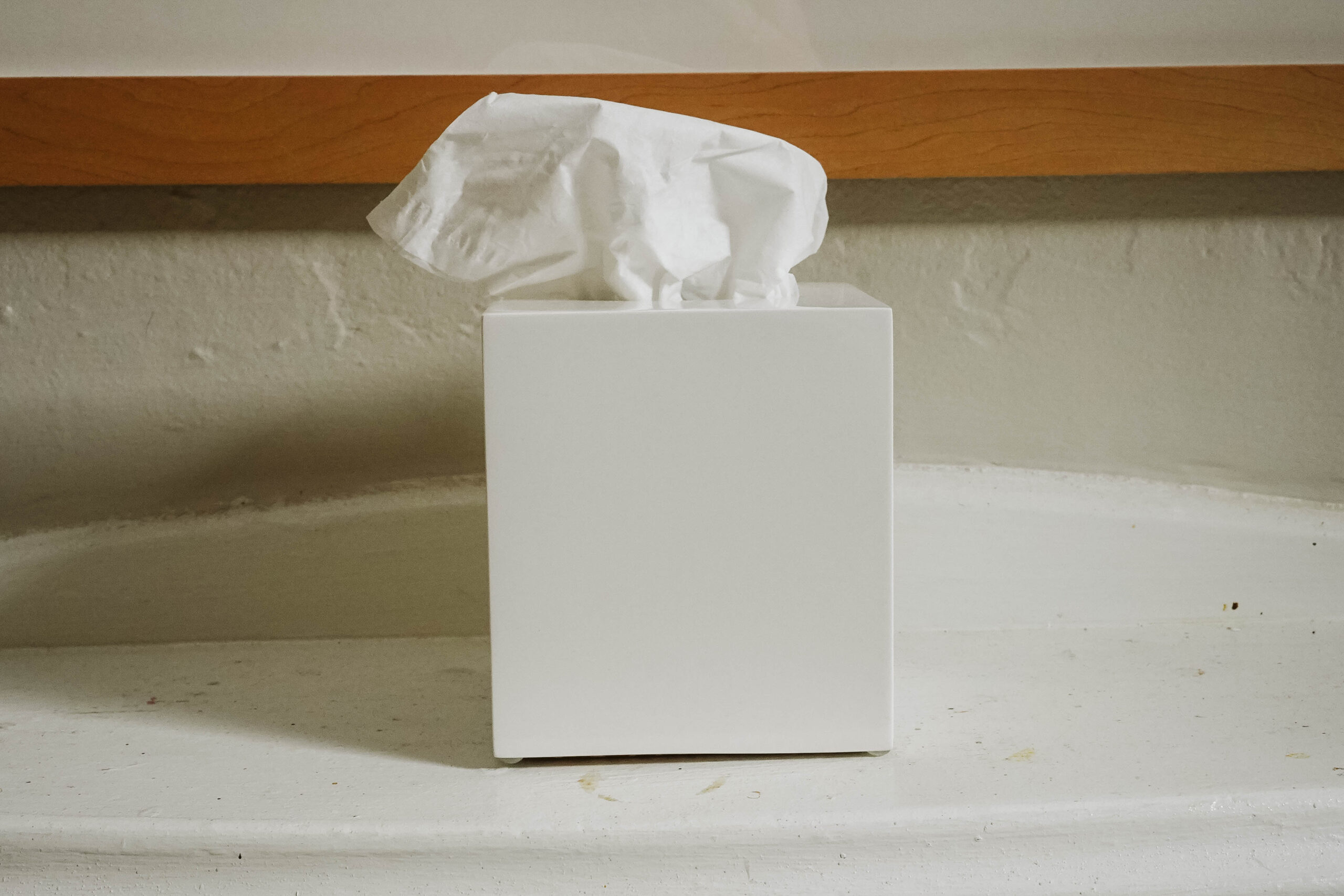 White Lacquered Tissue Box Cover